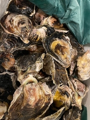 プリっぷりの新鮮生牡蠣!濃厚な旨みをお楽しみください