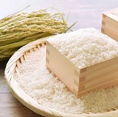 すだくのこだわりご飯