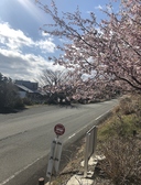 ギャラリー&カフェ あそび心の雰囲気2