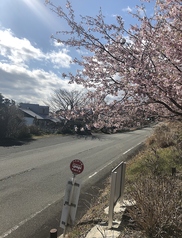 ギャラリー&カフェ あそび心の雰囲気2