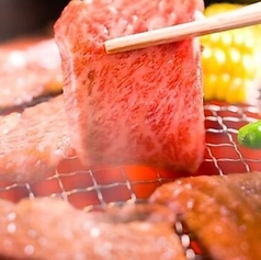 NO.1 焼肉しゃぶしゃぶ 新宿歌舞伎町店特集写真1