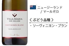ヴィラ・マリア　プライベート・ビンマールボロソーヴィニヨン・ブラン（Bottle）