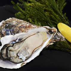 肉と麺 ときどき魚のコース写真