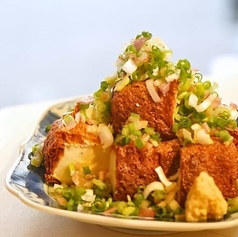 手作り厚揚げ たっぷり香味薬味
