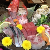 隠れ酒肴ほらあなの詳細