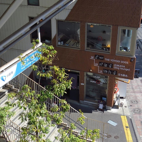 スパークリング飲放×生ハムで女子会