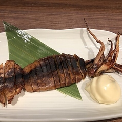 イカ丸干し