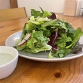 料理メニュー写真&nbsp;単品サラダ