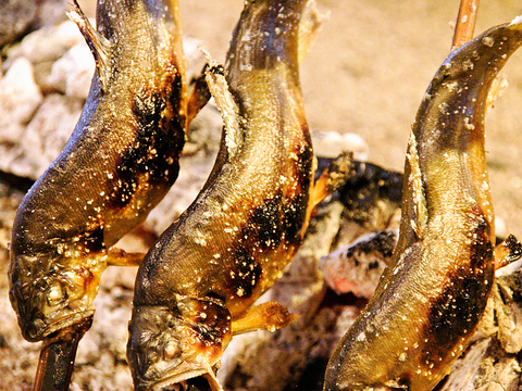 毎日仕入れてくる新鮮な魚がおいしい。囲炉裏で焼いたアユの炭火焼きが食べられる店。
