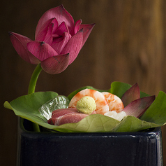 魚菜 基の特集写真