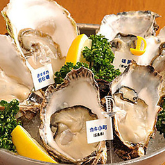 Oyster Bar ジャックポット 丸の内のコース写真