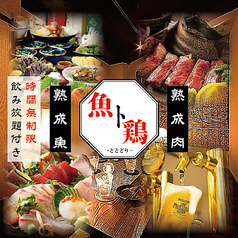 魚ト鷄 ととどりの特集写真