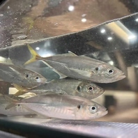 水槽が煌めく上質な大人の隠れ家でゆったりとした時間を