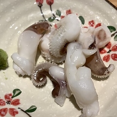 ゲソわさ