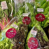 ORIENTAL KITCHEN ITALIANA オリエンタルキッチンイタリアーナのおすすめ料理2