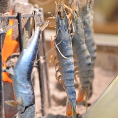 炭にもこだわった原始焼きは素材の旨味が引き立ちます！