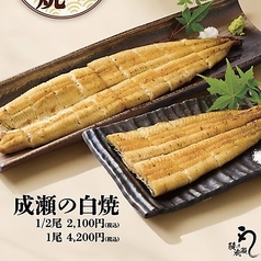 白焼き　1/2尾