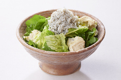 釜揚げしらすと生湯葉のクレソンサラダ