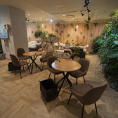 cafe Earth + h.lの雰囲気3