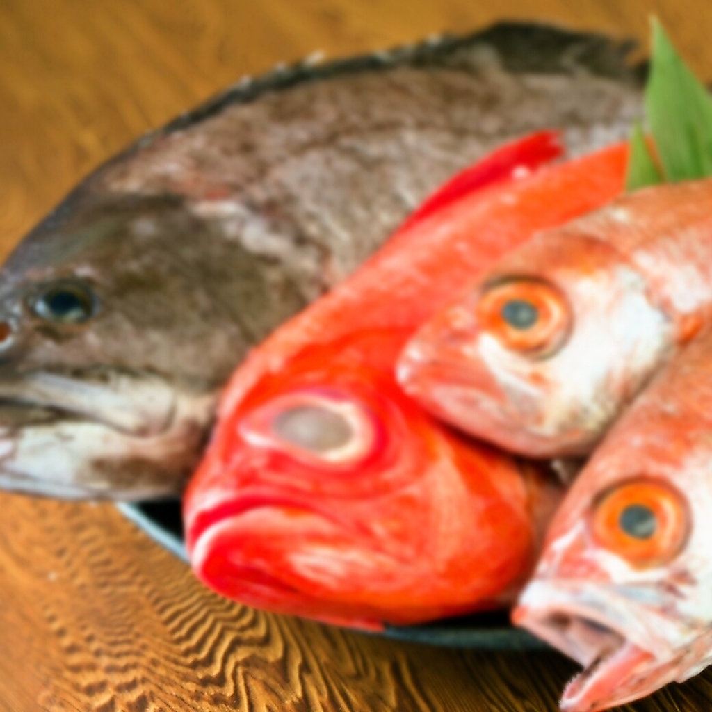 新鮮な海の幸は、刺身や焼きなどで楽しめます！！ショーケースの中には旬の食材がいっぱい◎
