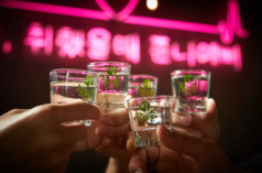 韓国大衆居酒屋 ムハンのコース写真