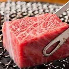 焼肉屋台皐月 大塚のれん街の写真