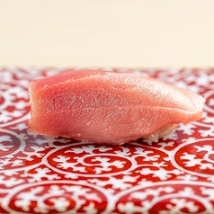 本マグロ中トロ
