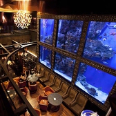AQUA RESTAURANT&BAR LUXIS ラグシスの写真