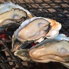 食べれば違いが分かる！おススメの殻カキ