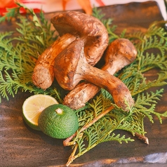 五色 GEMS市ヶ谷店のコース写真