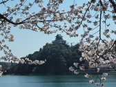 桜の時期は春を感じられる景色が楽しめる。