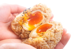 おんどるむすび