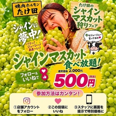 志木焼肉ホルモンたけ田のコース写真