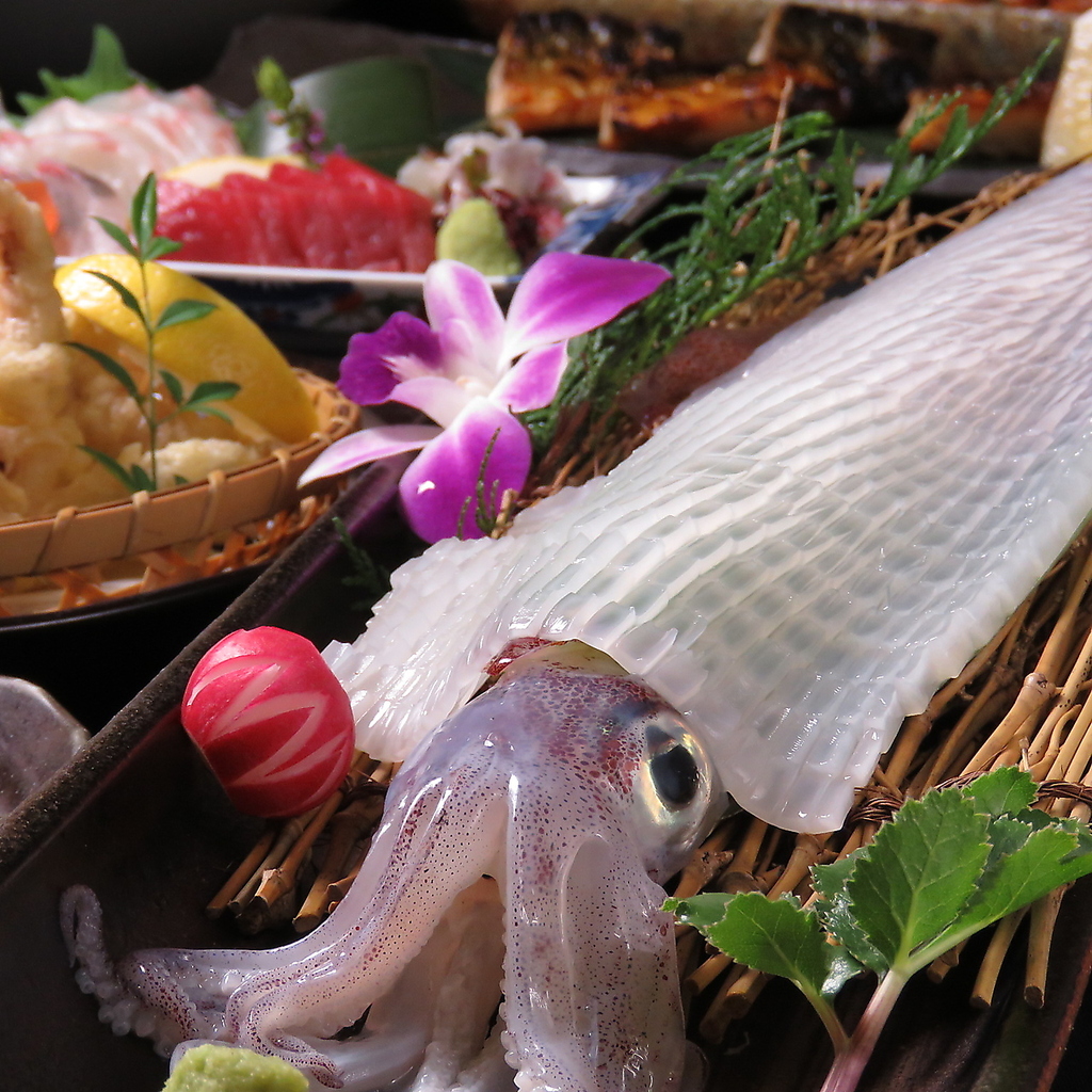 ★呼子直送！活烏賊の活き造り、飲放題120分付★博多満喫コース★