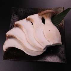 エリンギバター醤油/鳥取県産エリンギ