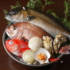 魚心 船橋店の写真