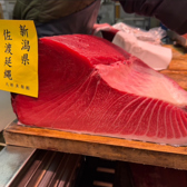 恭恭