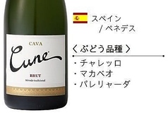 クネカバブリュット　メトード　トラディショナル（Bottle）