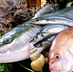地物金沢の鮮魚など、その日のオススメも各種ございます！お気軽にお声掛け下さい！翌3:00まで営業♪