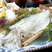 鮮度自慢の産地直送「呼子イカ」