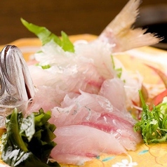 地場から買い付けている魚介類