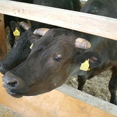 その日毎に良質な九州各地の黒毛和牛を仕入れております