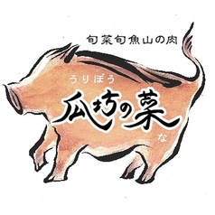 瓜坊の菜の特集写真