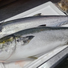 瀬戸内海産の鰆