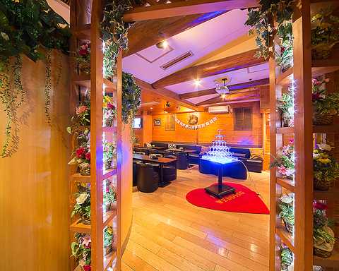 �E�b�h�n�E�X ��������