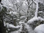 かねよで四季折々の風景をお楽しみください