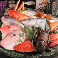 【夜の森名物！一本魚】お好みの調理法で愉しむ海鮮♪
