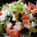 料理メニュー写真&nbsp;さかまるの海鮮サラダ/ポテトサラダいくら添え/フレッシュトマトとモッツァレラチーズのカプレーゼ