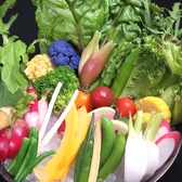 旬菜旬魚と地酒 野良のまたたびのおすすめ料理2