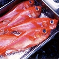 料理メニュー写真&nbsp;＜＜＜　　炭焼き魚・煮魚　　＞＞＞